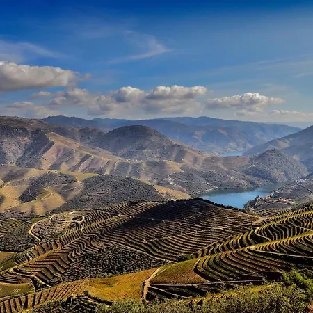 Douro Lar